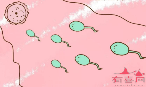 上海单身助孕机构-事实上，即使精子质量不好也能怀孕，而且机会很大(图2)