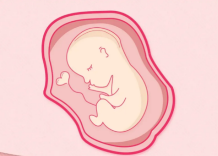 济宁助孕流程-最有可能导致胎儿流产的一些事情，以及准妈妈在试管婴儿移植后不应该做的事情